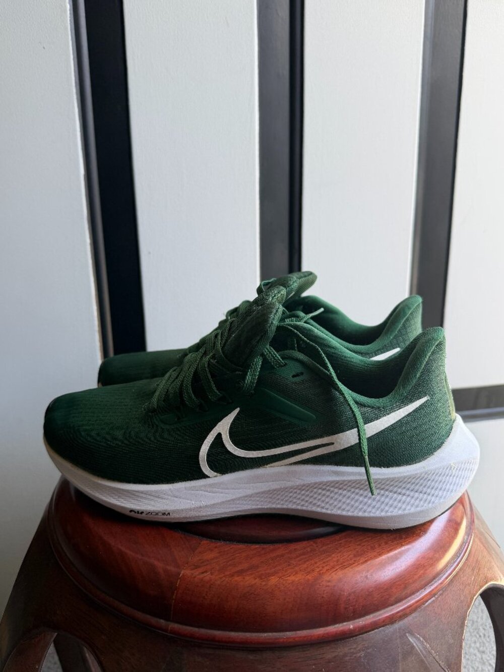 NIKE | Air Zoom Pegasus 39 Turbo 'Gorge Green' SZ 8